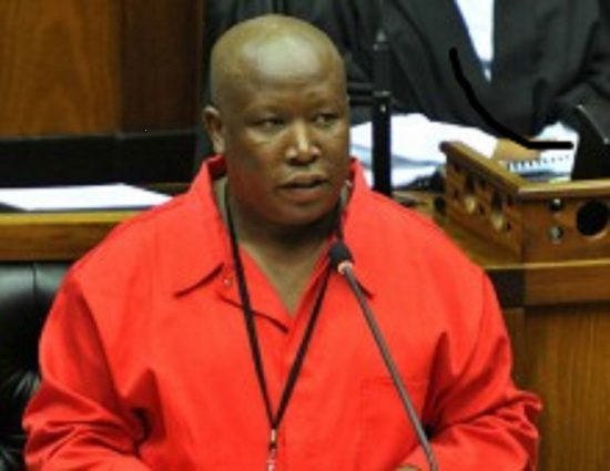 When Julius Malema sets the tone