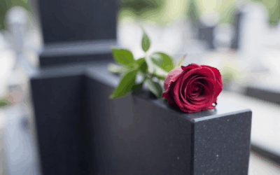 “I feel so helpless -so ashamed to be a human being”