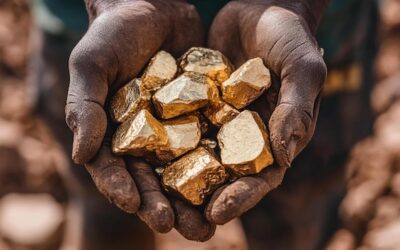 Credit ratings are not fair towards African Economies
