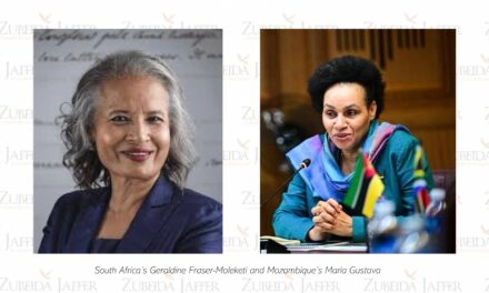 Beijing +30 African Women’s Movement lead a top-level intervention in South Africa’s anti-migrant narrative exposing online disinformation