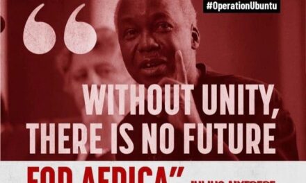 Organisations launch campaign against Xenophobia, for African Unity